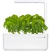 Emsa Click & Grow - Kit Per Creare Un Mini Giardino In Casa, Bianco, 31,5 X 13,5 X 22,7 Cm