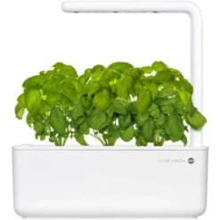 Emsa Click & Grow - Kit Per Creare Un Mini Giardino In Casa, Bianco, 31,5 X 13,5 X 22,7 Cm