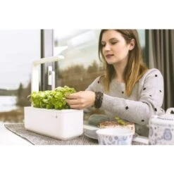 Emsa Click & Grow - Kit Per Creare Un Mini Giardino In Casa, Bianco, 31,5 X 13,5 X 22,7 Cm -Vendite VIDAXL 86653506 3