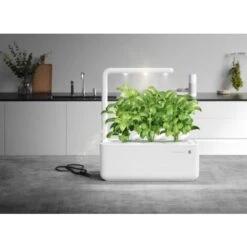 Emsa Click & Grow - Kit Per Creare Un Mini Giardino In Casa, Bianco, 31,5 X 13,5 X 22,7 Cm -Vendite VIDAXL 86653506 4