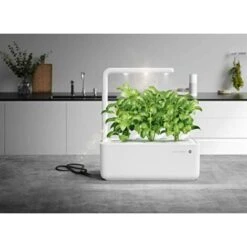 Emsa Click & Grow - Kit Per Creare Un Mini Giardino In Casa, Bianco, 31,5 X 13,5 X 22,7 Cm -Vendite VIDAXL 86653506 5