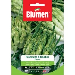 Blumen. Semi Di Cicoria Puntarelle Di Galatina