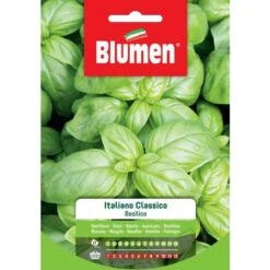 Blumen. Semi Di Basilico Italiano Classico