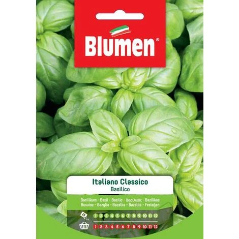 Blumen. Semi Di Basilico Italiano Classico 1 Blumen. Semi Di Basilico Italiano Classico