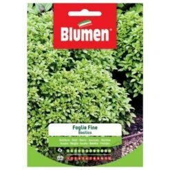 Blumen. Semi Di Basilico Foglia Fine