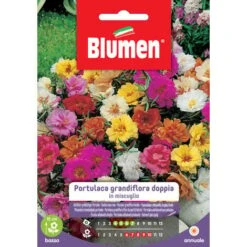 Blumen. Semi Di Portulaca Grandiflora Doppia