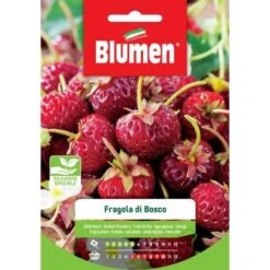Blumen. Semi Di Fragola Di Bosco