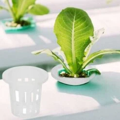 Rete Per Piantare Idroponica In Plastica Bianca Da 20 Pezzi, Tazza Da Giardino Con Cesto Per Vasi Da Fiori, 32 -Vendite VIDAXL 87576812 4