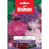 Blumen. Semi Di Astro Bellezza D'America