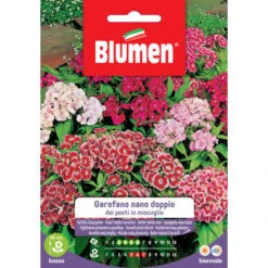 Blumen. Semi Di Garofano Nano Doppio Dei Poeti