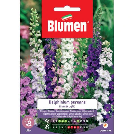 Blumen. Semi Di Delphinium Perenne 1 Blumen. Semi Di Delphinium Perenne