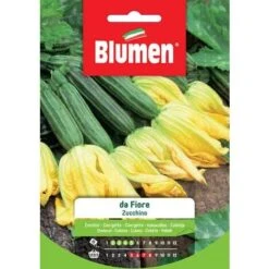 Blumen. Semi Di Zucchino Da Fiore