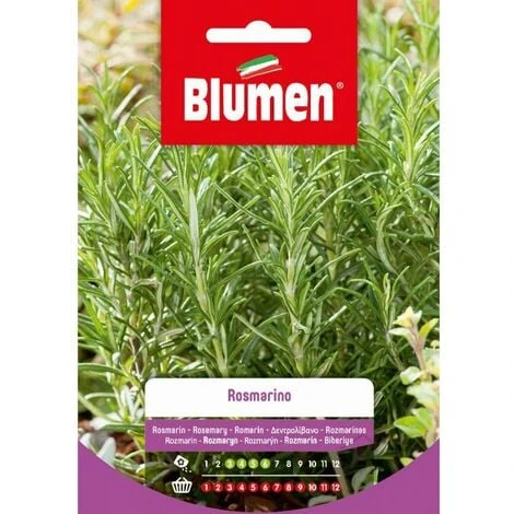 Blumen. Semi Di Rosmarino 1 Blumen. Semi Di Rosmarino