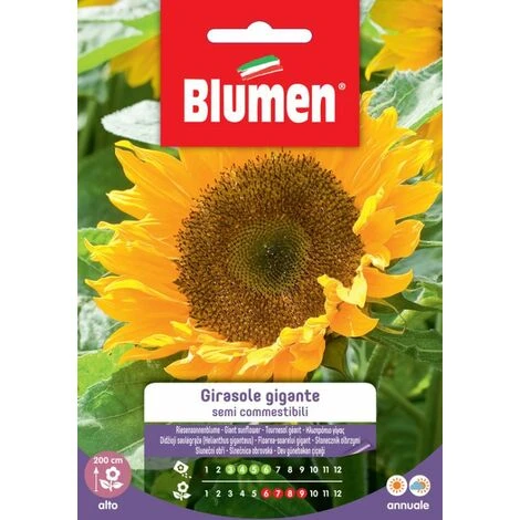 Blumen. Semi Di Girasole Gigante Semi Commestibili 1 Blumen. Semi Di Girasole Gigante Semi Commestibili