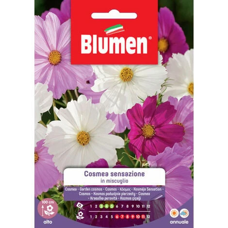 Blumen. Semi Di Cosmea Sensazione 1 Blumen. Semi Di Cosmea Sensazione