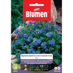 Blumen. Semi Di Non Ti Scordar Di Me
