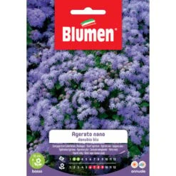 Blumen. Semi Di Agerato Nano Danubio Blu