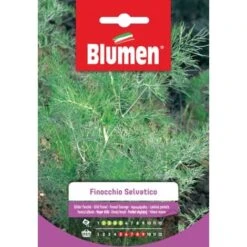 Blumen. Finocchio Selvatico