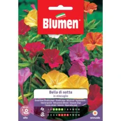 Blumen. Semi Di Bella Di Notte