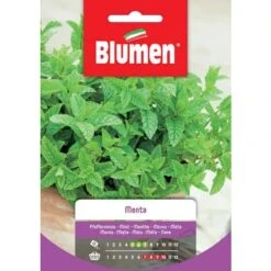 Blumen. Semi Di Menta