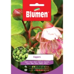 Blumen. Semi Di Cappero