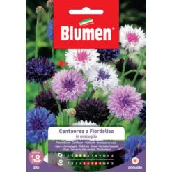 Blumen. Semi Di Centaurea O Fiordaliso