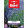 Blumen. Semi Di Lavanda Vera Da Bordura