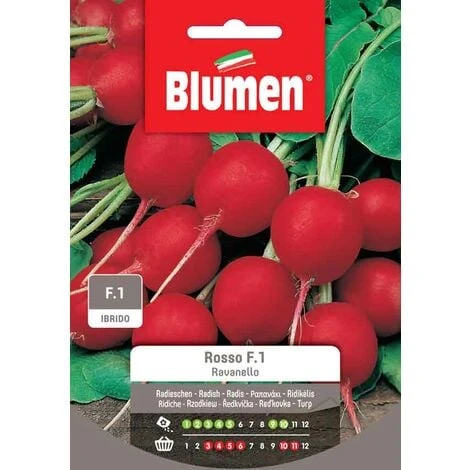 Blumen. Semi Ibridi Di Ravanello Rosso F.1 1 Blumen. Semi Ibridi Di Ravanello Rosso F.1