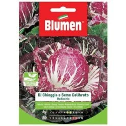 Blumen. Semi Di Origano -Vendite VIDAXL 88579919 4