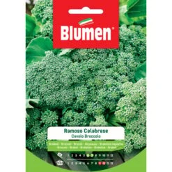 Blumen. Semi Di Cavolo Broccolo Ramoso Calabrese