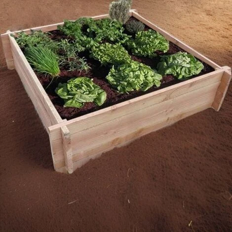 Orto In Abete Di Douglas 2 Orto In Abete Di Douglas - immagine 2