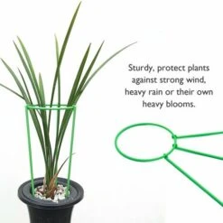 Supporto Per Piante Rampicanti Supporto Per Piante Alte Gabbia Ad Anello Per Piante Da Giardino Fiore Vegetale,,S & 1PC 7 Supporto Per Piante Rampicanti Supporto Per Piante Alte Gabbia Ad Anello Per Piante Da Giardino Fiore Vegetale,,S & 1PC -Vendite VIDAXL 89823916 3