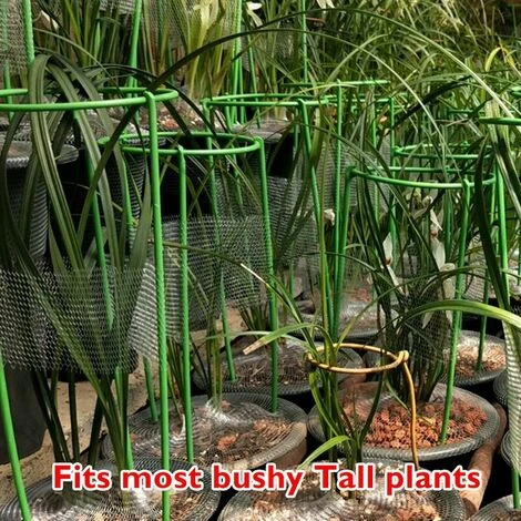 Supporto Per Piante Rampicanti Supporto Per Piante Alte Gabbia Ad Anello Per Piante Da Giardino Fiore Vegetale,,S & 1PC 5 Supporto Per Piante Rampicanti Supporto Per Piante Alte Gabbia Ad Anello Per Piante Da Giardino Fiore Vegetale,,S & 1PC - immagine 5