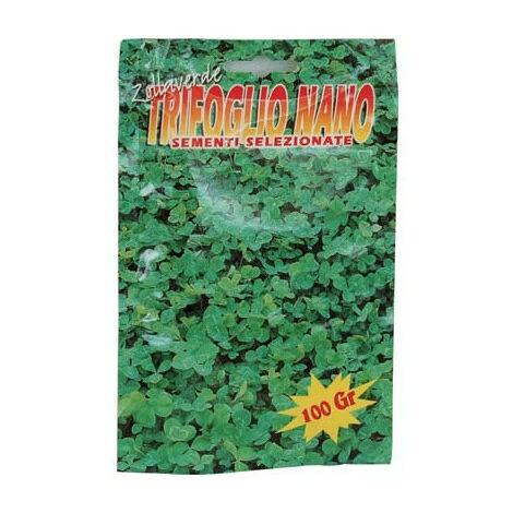 SEME PRATO TRIFOGLIO NANO REPENS BOTTOS • GR 100 1 SEME PRATO TRIFOGLIO NANO REPENS BOTTOS • GR 100