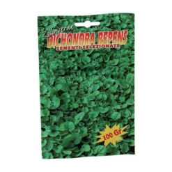 SEME PRATO DICHONDRA REPENS BOTTOS • GR 100