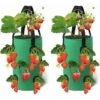 LangRay Confezione Da 2 Borse Per Coltivazione Di Fragole ， Borsa Per Fioriera Traspirante 28x33cm Con Tasche Laterali Manici Per Giardino Fragole, Erbe, Fiori, Pomodori (Verde)