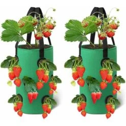 LangRay Confezione Da 2 Borse Per Coltivazione Di Fragole ， Borsa Per Fioriera Traspirante 28x33cm Con Tasche Laterali Manici Per Giardino Fragole, Erbe, Fiori, Pomodori (Verde)