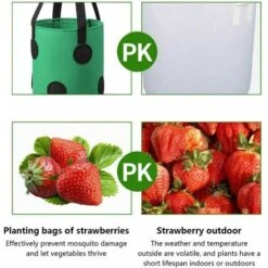 LangRay Confezione Da 2 Borse Per Coltivazione Di Fragole ， Borsa Per Fioriera Traspirante 28x33cm Con Tasche Laterali Manici Per Giardino Fragole, Erbe, Fiori, Pomodori (Verde) -Vendite VIDAXL 90784788 3