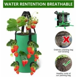 LangRay Confezione Da 2 Borse Per Coltivazione Di Fragole ， Borsa Per Fioriera Traspirante 28x33cm Con Tasche Laterali Manici Per Giardino Fragole, Erbe, Fiori, Pomodori (Verde) -Vendite VIDAXL 90784788 4