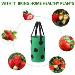 LangRay Confezione Da 2 Borse Per Coltivazione Di Fragole ， Borsa Per Fioriera Traspirante 28x33cm Con Tasche Laterali Manici Per Giardino Fragole, Erbe, Fiori, Pomodori (Verde) -Vendite VIDAXL 90784788 5