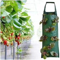 1 Borsa Verticale Per La Coltivazione Di Fragole, Da Appendere Alla Parete Da Giardino, 8 Vasi Per Piante, Borsa Per Fioriera -Vendite VIDAXL 91206778 5