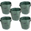 Grow Bags, Confezione Da 5 Sacchetti Per La Coltivazione In PE Con Manici, Vasi Traspiranti E Durevoli Per Patate, Fragole, Fiori E Verdure Da Giardino (10 Galloni) Green