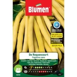 SEMI FAGIOLINO NANO ROCQUENCOURT BLUMEN