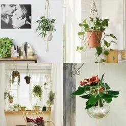 4er Macrame Cesto Appeso, Corda Di Cotone Cesto Appeso Vaso Di Fiori Robusto Porta Piante Macrame Cesto Appeso 4 Piedi 41 Pollici Appendiabiti Intrecciato A Mano Per Balcone Decorazione Giardino 9 4er Macrame Cesto Appeso, Corda Di Cotone Cesto Appeso Vaso Di Fiori Robusto Porta Piante Macrame Cesto Appeso 4 Piedi 41 Pollici Appendiabiti Intrecciato A Mano Per Balcone Decorazione Giardino -Vendite VIDAXL 94165115 5