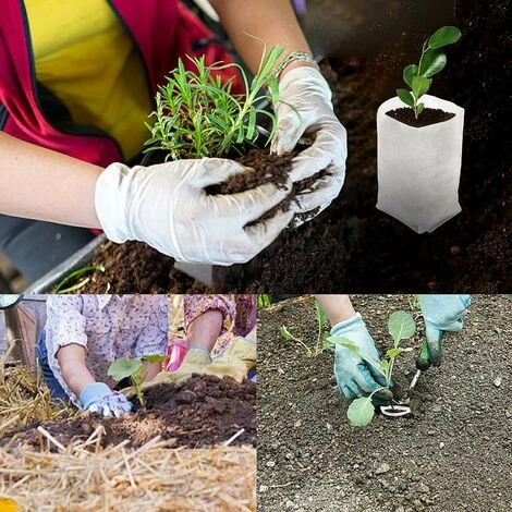 Sacchetto Biodegradabile Per Piantine, 300 Pezzi Sacchetti Per Piante Non Tessuti Sacchetti Per Piante Da Giardino Adatti Per Verdure, Pomodori, Uva - Tre Dimensioni 5 Sacchetto Biodegradabile Per Piantine, 300 Pezzi Sacchetti Per Piante Non Tessuti Sacchetti Per Piante Da Giardino Adatti Per Verdure, Pomodori, Uva - Tre Dimensioni - immagine 5
