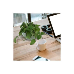 Vasi Da Fiori Sospesi - 2 Pezzi Fioriera Sospesa, Cesto Di Fiori Sospeso, Vaso Da Fiori Fissato A Parete Per Interni Esterni Per Decorazione Balcone Da Giardino, Diametro 16 Cm -Vendite VIDAXL 94289889 5