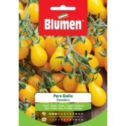Blumen Semi Di Pomodoro Pera Giallo