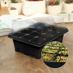 Confezione Da 3 Vassoi Per Piantine, Vassoi Per Vivaio Per Celle Di Avviamento, Mini Serra Per Piantine Con 12 Celle, Vassoio Per Germinazione Delle Piante Con Coperchio 7 Confezione Da 3 Vassoi Per Piantine, Vassoi Per Vivaio Per Celle Di Avviamento, Mini Serra Per Piantine Con 12 Celle, Vassoio Per Germinazione Delle Piante Con Coperchio -Vendite VIDAXL 97071973 3