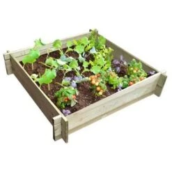 Scatola Ekju Set Di Coltivazione -Vendite VIDAXL 97791299 3