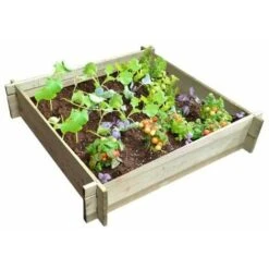 Scatola Ekju Set Di Coltivazione -Vendite VIDAXL 97791299 4